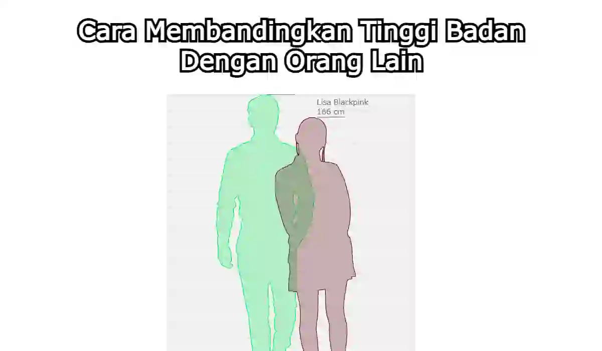 Cara Membandingkan Tinggi Badan Dengan Orang Lain